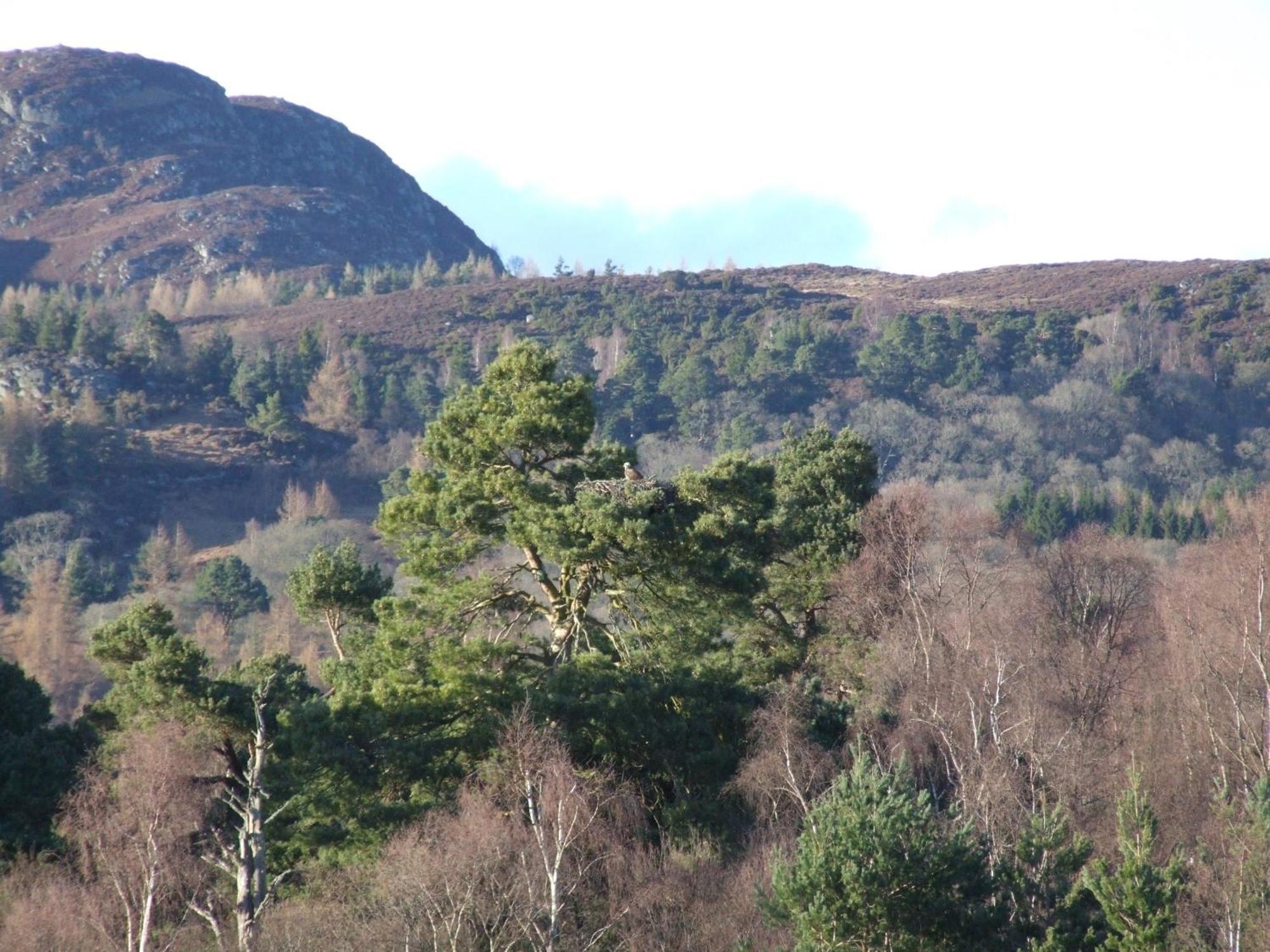 Kinloch House Hotel Blairgowrie and Rattray Εξωτερικό φωτογραφία