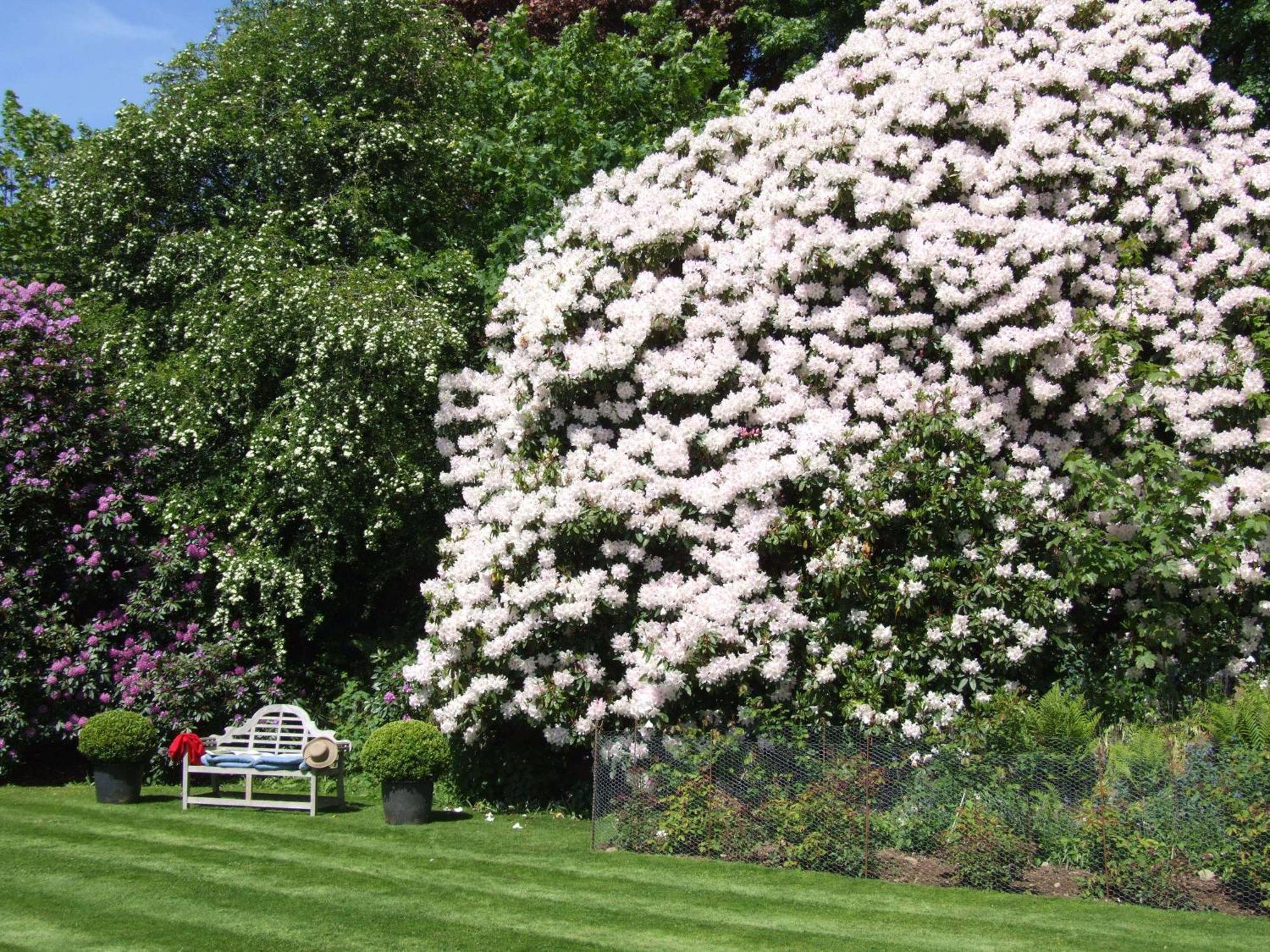 Kinloch House Hotel Blairgowrie and Rattray Εξωτερικό φωτογραφία
